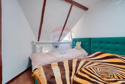 Apartament cu 2 camere semidecomandat în Turcheș - 5