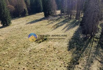 Teren de vanzare 5000 mp Piatra Neam? - 3