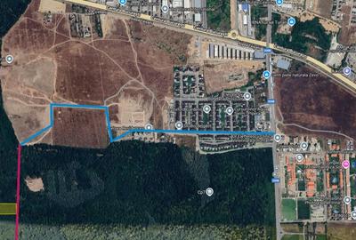 Raritate absoluta: Teren 20.000 mp in inima Padurii Baneasa - 4