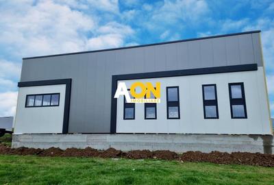 Spațiu industrial, de 1,165 mp, în Drâmbar - 1