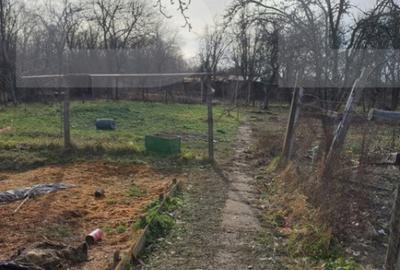 Casă cu 3 camere cu Teren 900 Mp în Central - 4