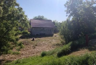 Casă cu 3 camere în Prisăcani - 8