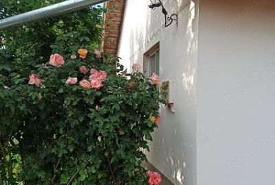 Vand casa la Becicherecu Mic Vand casa la Becicherecu Mic - 9