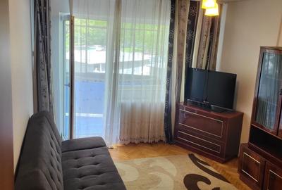 Apartament cu 2 camere decomandat în Dosu Bricii - 4