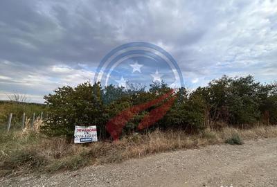 Teren de 935 mp, în Brădești - 4