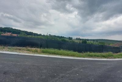 Teren în Erghevița - 1