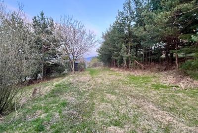 Teren Construcții intravilan de 495 mp, în Poiana Angelescu - 3