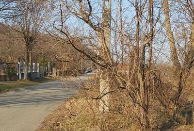 Teren de 7000 mp, în Gura Vitioarei - 7