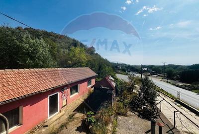 Casa P+E+M cu spalatorie auto si restaurant la DN 7 in LIPOVA - 5