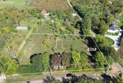 Spațiu comercial, în Viile Satu Mare - 5