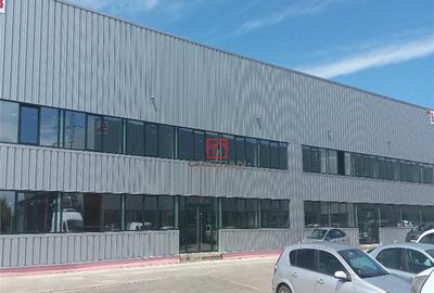 Depozit/hala/spatiu industrial Buftea - Tamasi, Ilfov - 3