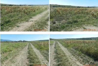 Teren extravilan arabil, situat in Oravita, Jud Caras-Severin - 3