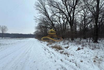 Teren de 2700 mp, în Berești - 3