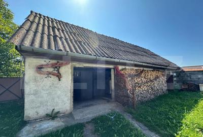 Casa saseasca de vanzare, curte, gradina, teren 3000 mp - Ji - 17