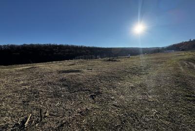 Teren Construcții intravilan de 1153 mp, în Micești - 3