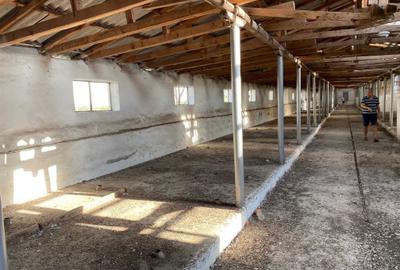 Teren de 15000 mp, în Central - 4