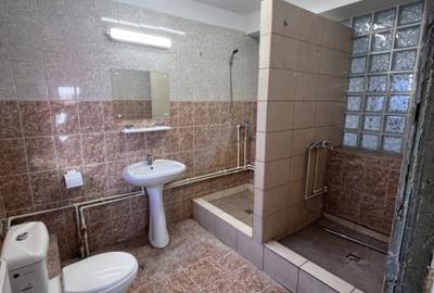 Vila de inchiriat-Finisaje la alegere-Renovata 2025-Destinatie multipla - 17