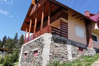 Casa de vacanta Ranca - 9