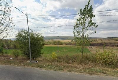 Teren de 1737 mp, în Plavia