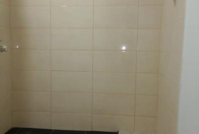 Apartament cu 2 camere decomandat în Aradului - 4