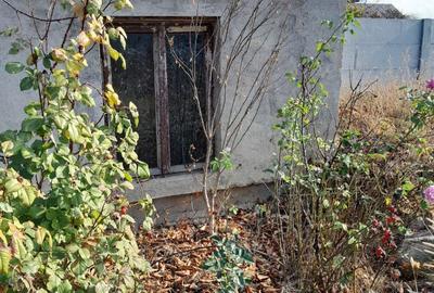 Casă cu 2 camere în Coșoveni - 5