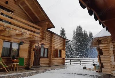 Spațiu comercial, de 270 mp, în Central - 17