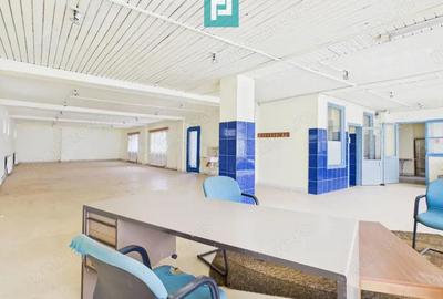 Proprietate multifunctionala central Arad - 17