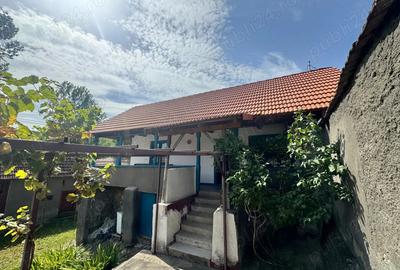 Casa de vanzare sat Cetea - 2