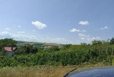 Teren de 6100 mp, în Cehal - 3