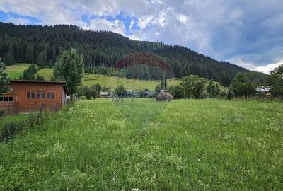Teren intravilan 4822 mp C. Moldovenesc, Suceava - 15