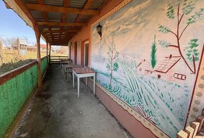 Spațiu comercial, în Păușa - 17