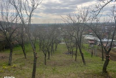 Spațiu comercial, în Vrănești - 3