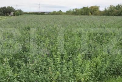 Teren de 10700 mp, în Nord - 2