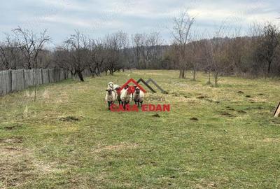 Casă cu Teren 2080 Mp în Brebu - 8