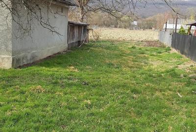 Teren de 3000 mp, în Dumbrăvița - 8