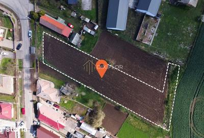 Teren de 2500 mp, în Criș - 3