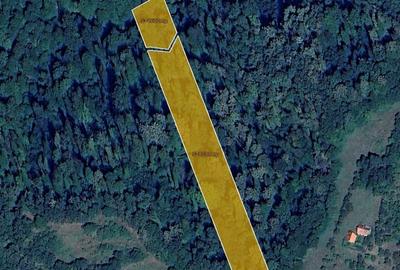 De vanzare teren extravilan - 10 ha - Chisindia, judetul Arad - 7