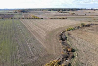 Bucovat - Lot Intravilan 2.27 Ha, PUZ inceput, Rezidentia... - 3