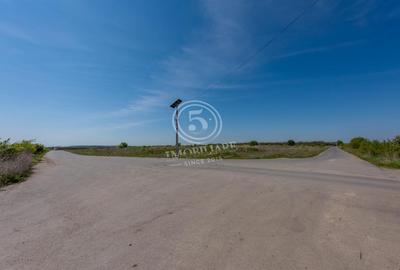 Teren Construcții intravilan de 2000 mp, în Corbeanca - 14