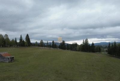 Teren de 16813 mp, în Fundu Moldovei - 1