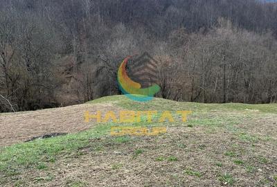 Spațiu comercial, în Turburea - 8