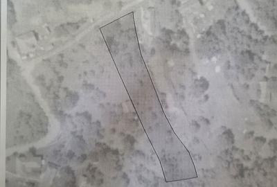 Spațiu comercial, în Deleni - 8