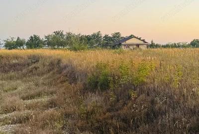 AV655 Teren-Balta 6.663mp, in Masloc-Alios, IDEAL INVESTITIE - 5