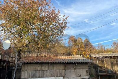 Reco Casa 3 camere si teren 2.600mp in Burzuc - 7