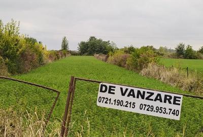 Spațiu comercial, în Crivina - 1
