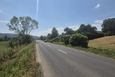 Berinta, 55 ari teren - 2