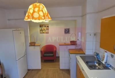 Apartament cu 2 camere semidecomandat în Central - 7