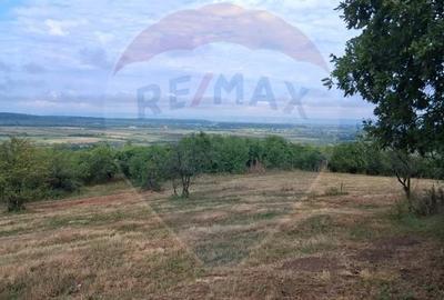 Teren Construcții intravilan de 5700 mp, în Sud-Vest - 9