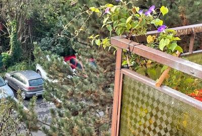 Inchiriere apart. cu 2 camere, Grigorescu, 550 Eur/luna - 13