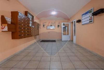 Apartament cu 2 camere decomandat, mobilat în Noua - 10